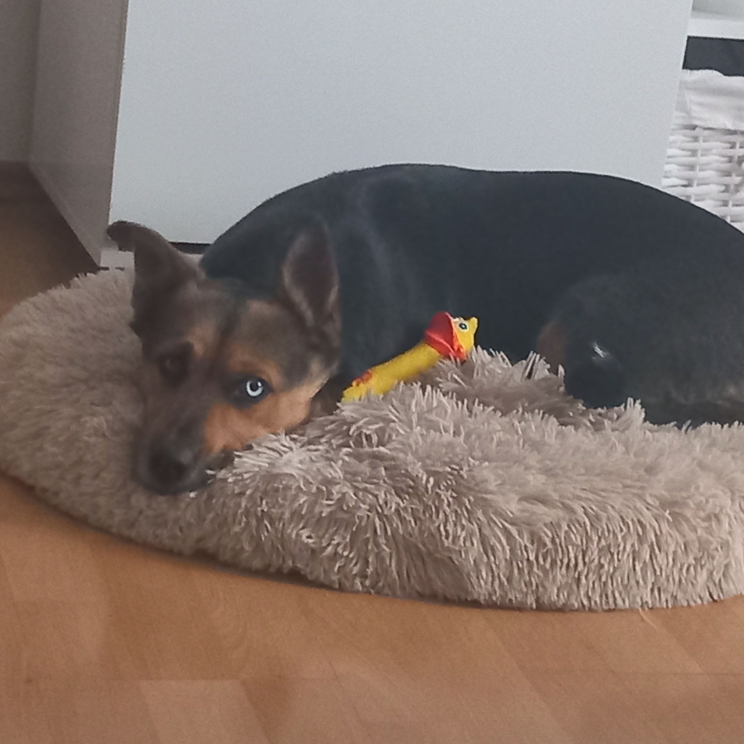 Soutěžní fotografie - BETYNKA,  Ostatní