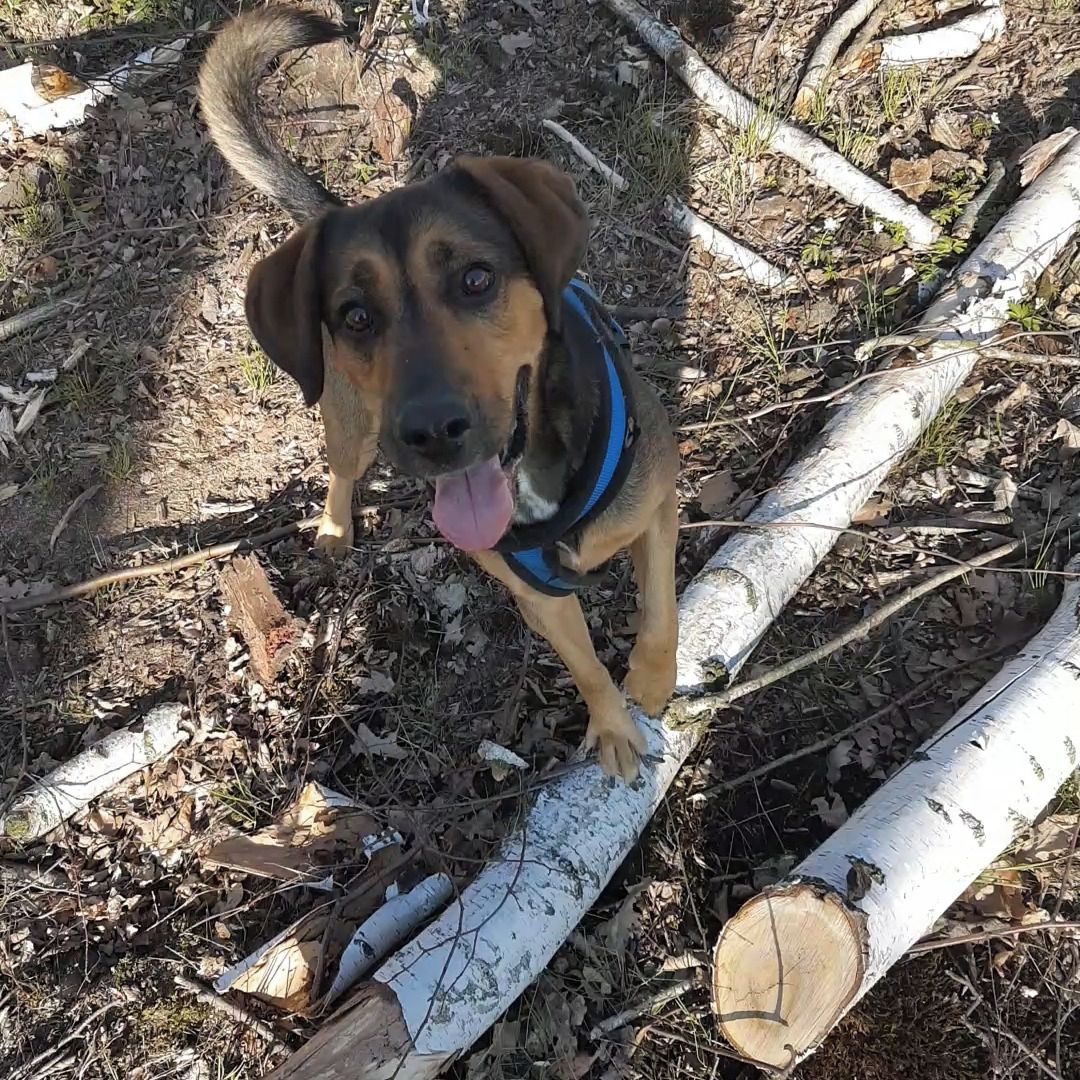 Soutěžní fotografie - Bongo,  Ostatní