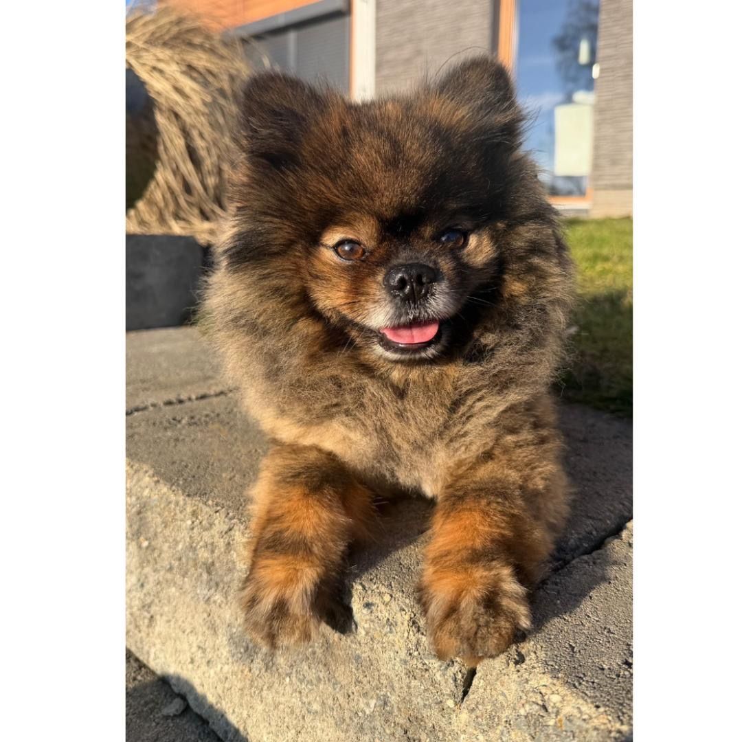 Soutěžní fotografie - Marvel,  Ostatní