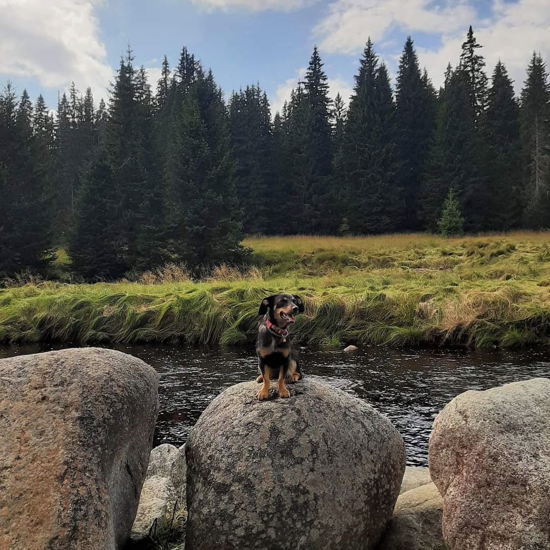 Soutěžní fotografie - Naty,  Ostatní