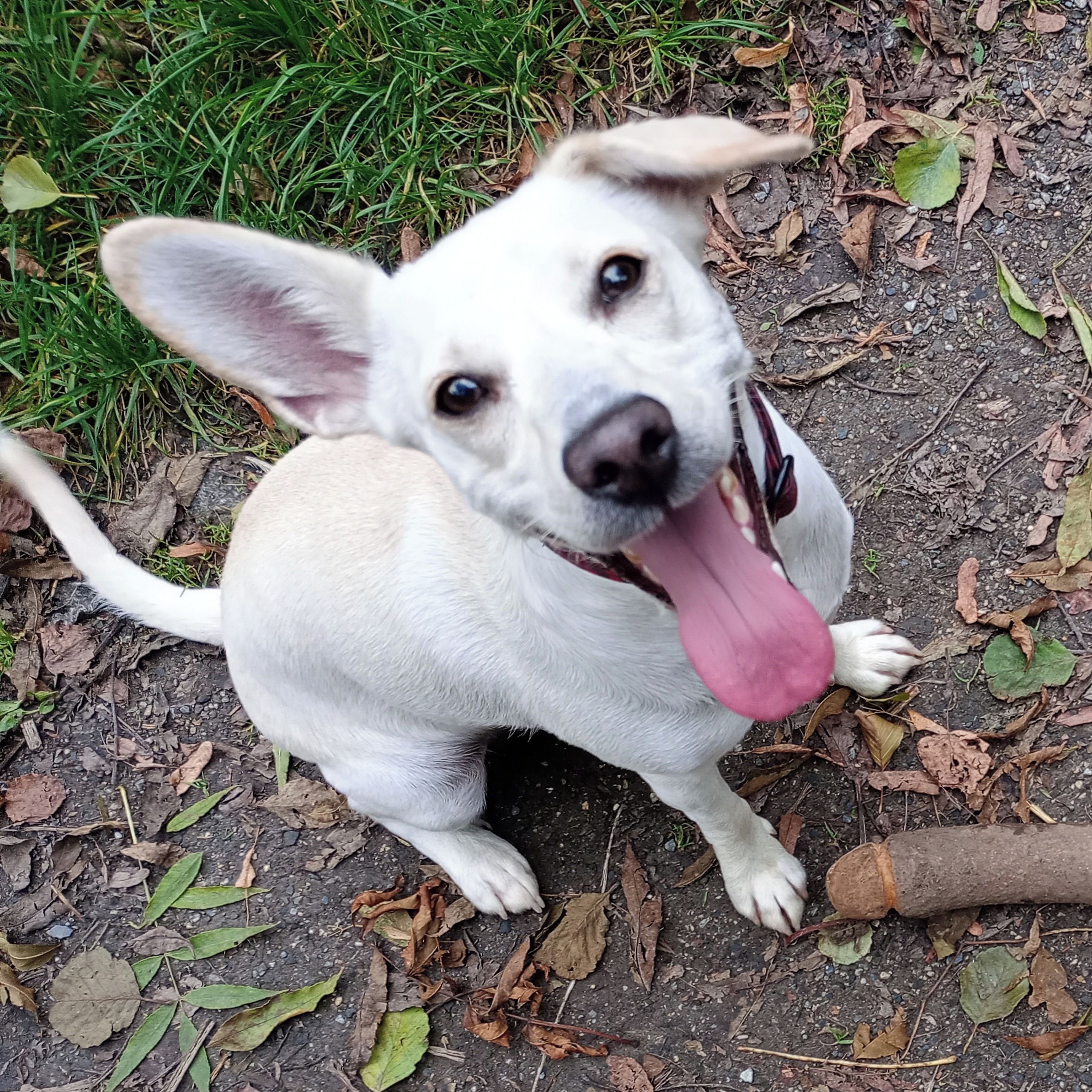 Soutěžní fotografie - Holy,  Ostatní