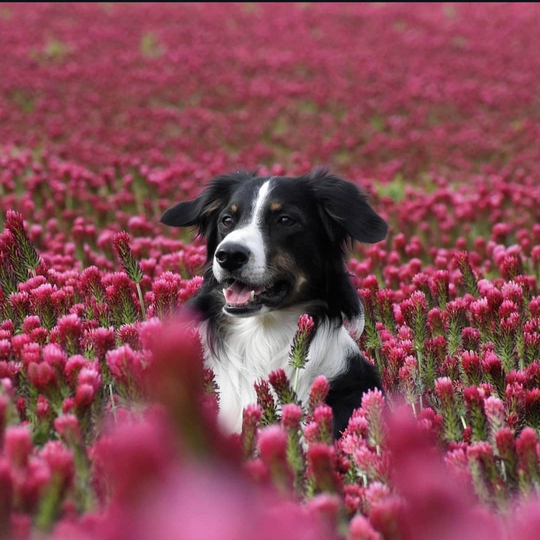 Soutěžní fotografie - Barnabáš,  Ostatní