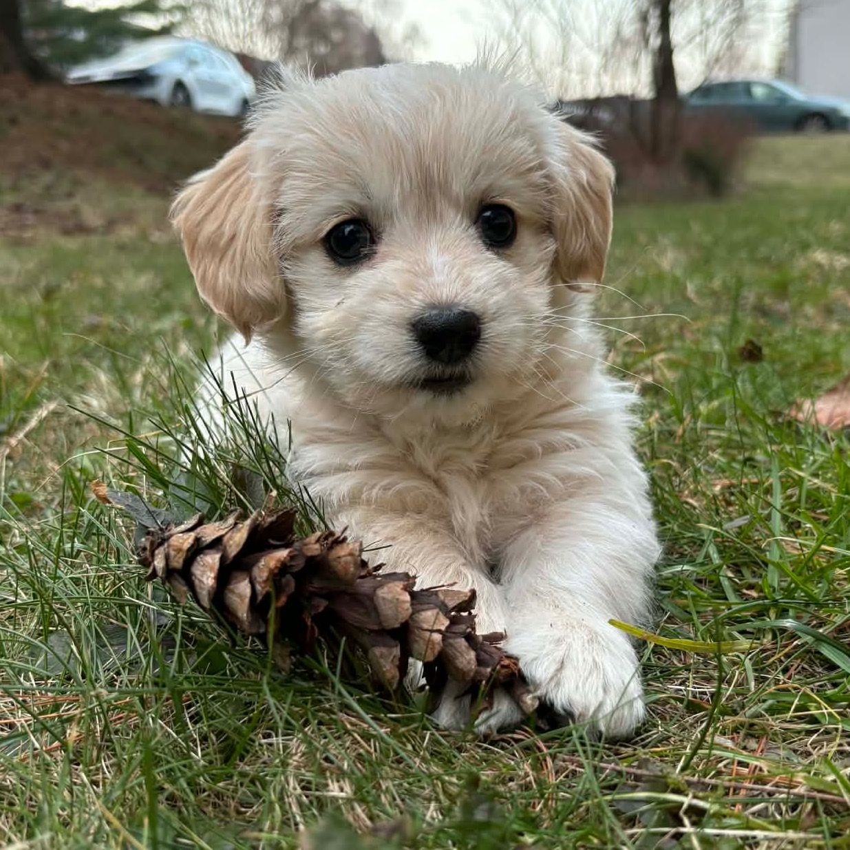 Soutěžní fotografie - Annie,  Ostatní