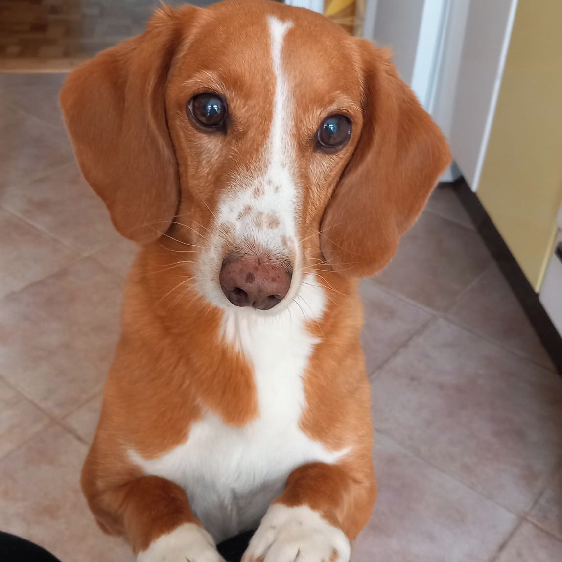 Soutěžní fotografie - Eda nebo Edík,  Ostatní