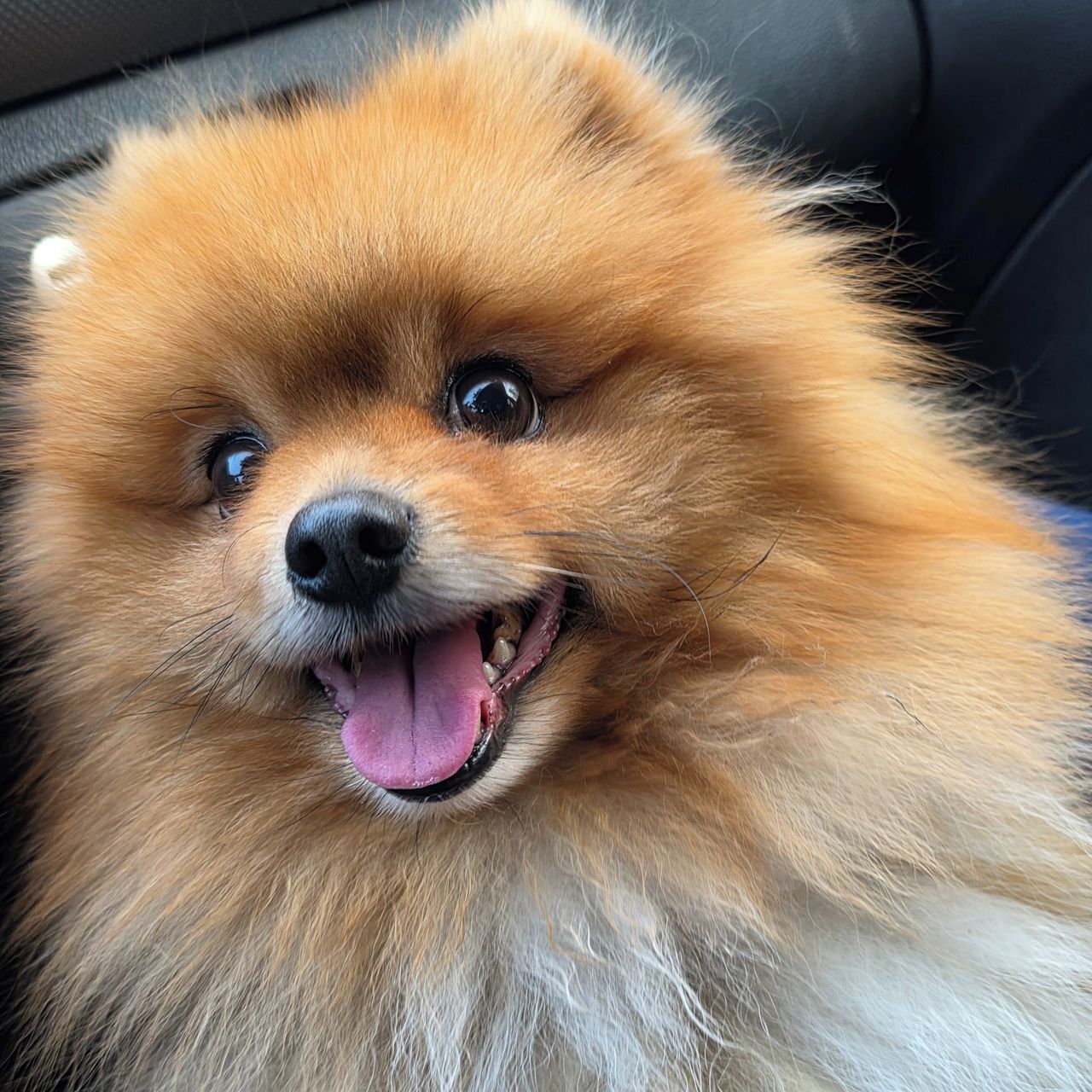 Soutěžní fotografie - Jerry,  Ostatní