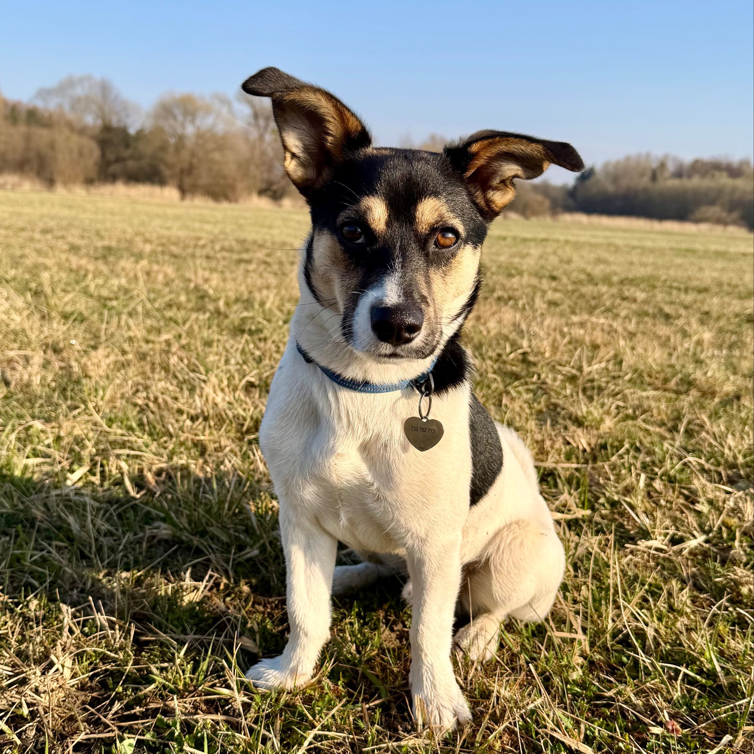 Soutěžní fotografie - Chandler,  Ostatní