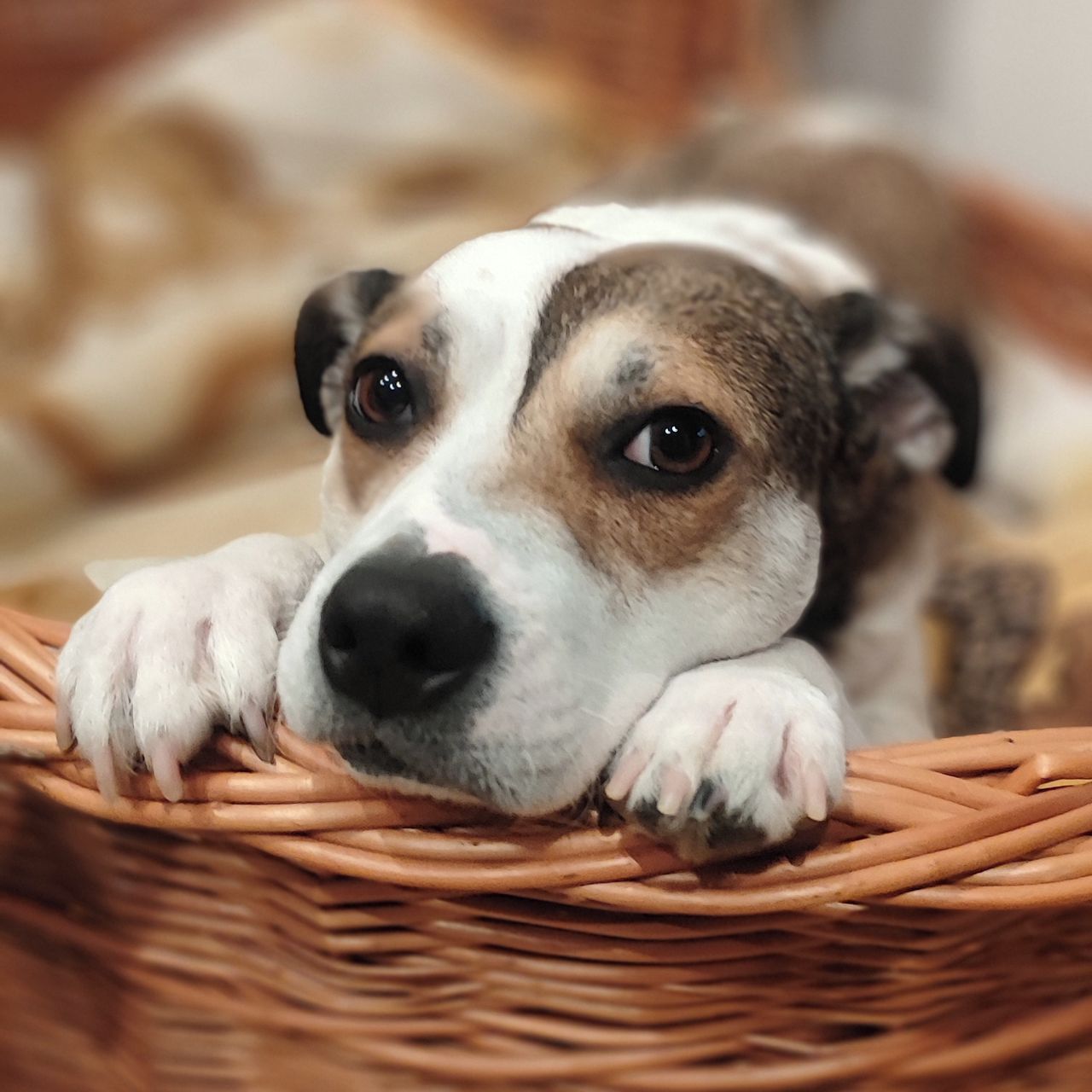 Soutěžní fotografie - Majda,  Ostatní