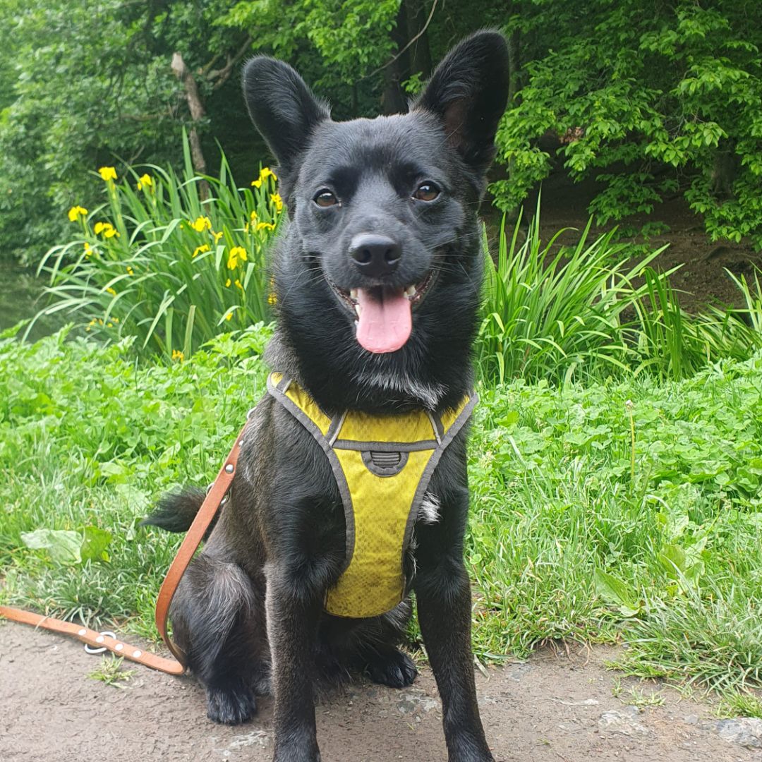 Soutěžní fotografie - Panky,  Ostatní