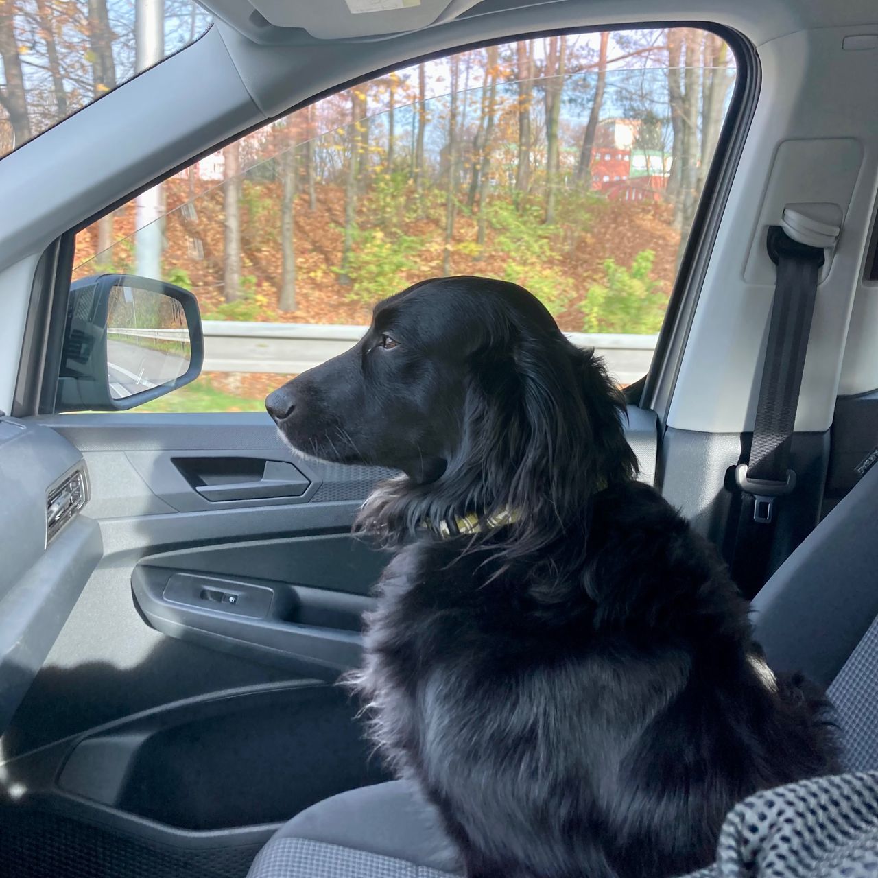 Soutěžní fotografie - Arny,  Ostatní