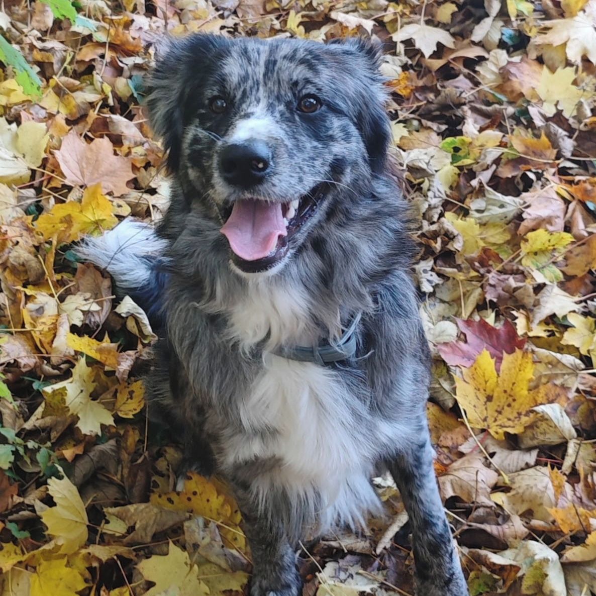 Soutěžní fotografie - Maxmilián,  Ostatní