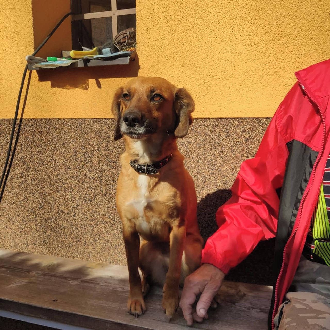 Soutěžní fotografie - Betynka,  Ostatní