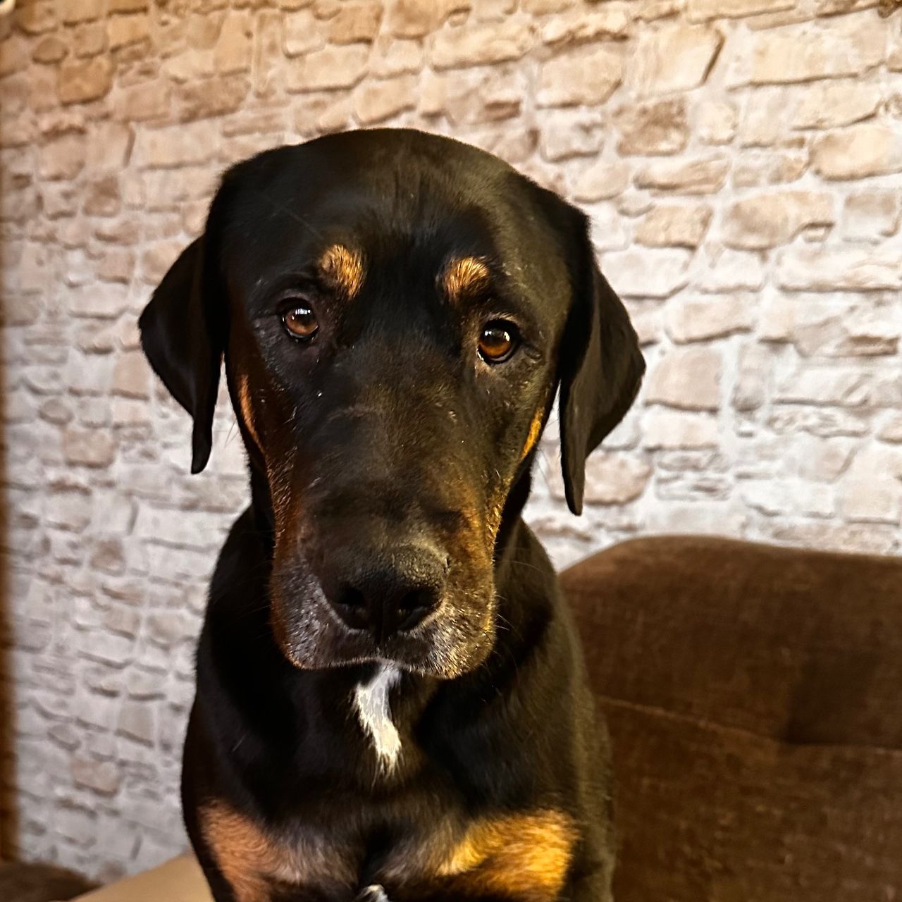 Soutěžní fotografie - Bax,  Ostatní