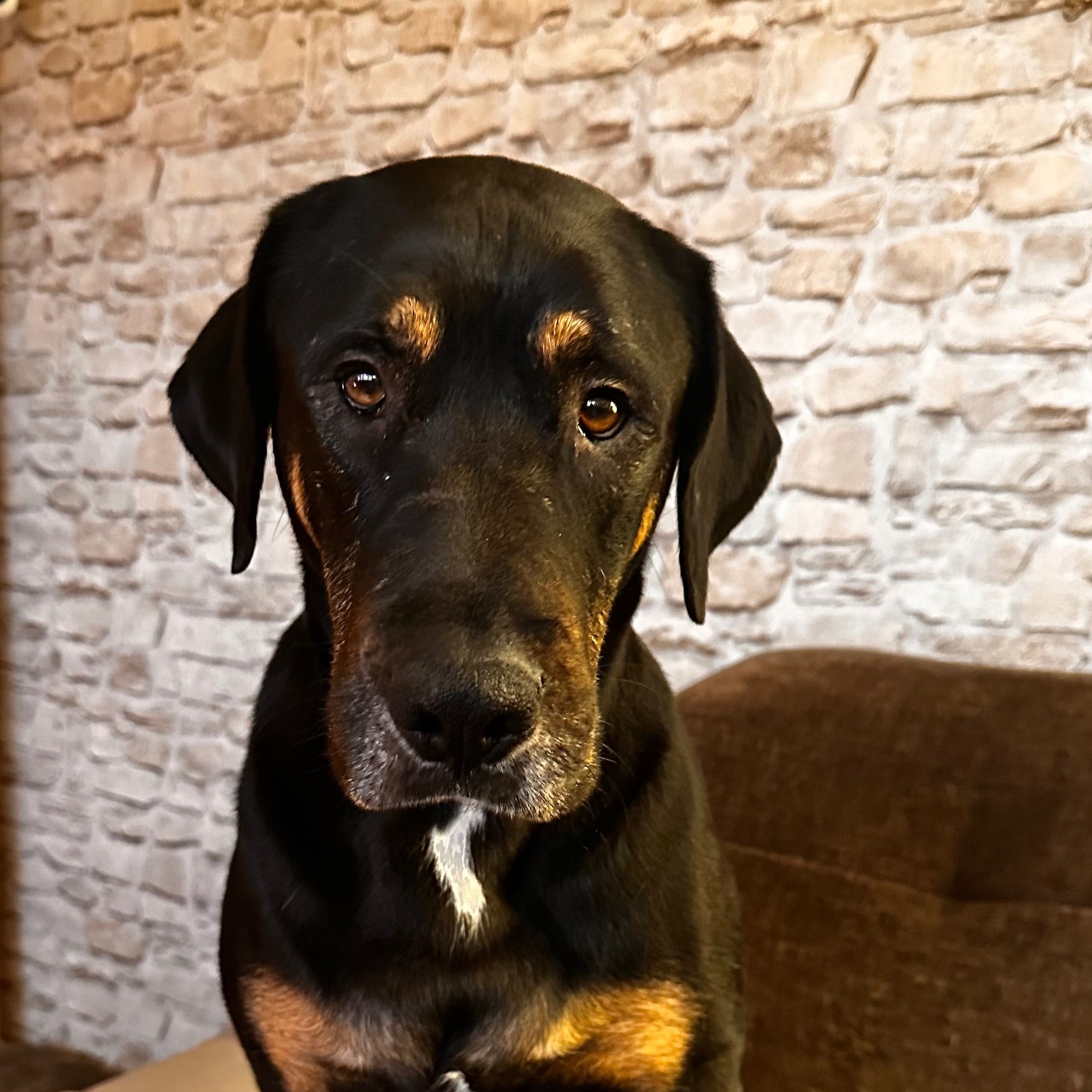 Soutěžní fotografie - Bax,  Ostatní