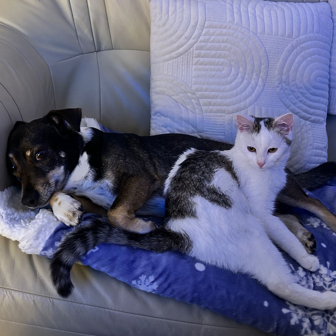 Soutěžní fotografie - Jack,  Ostatní