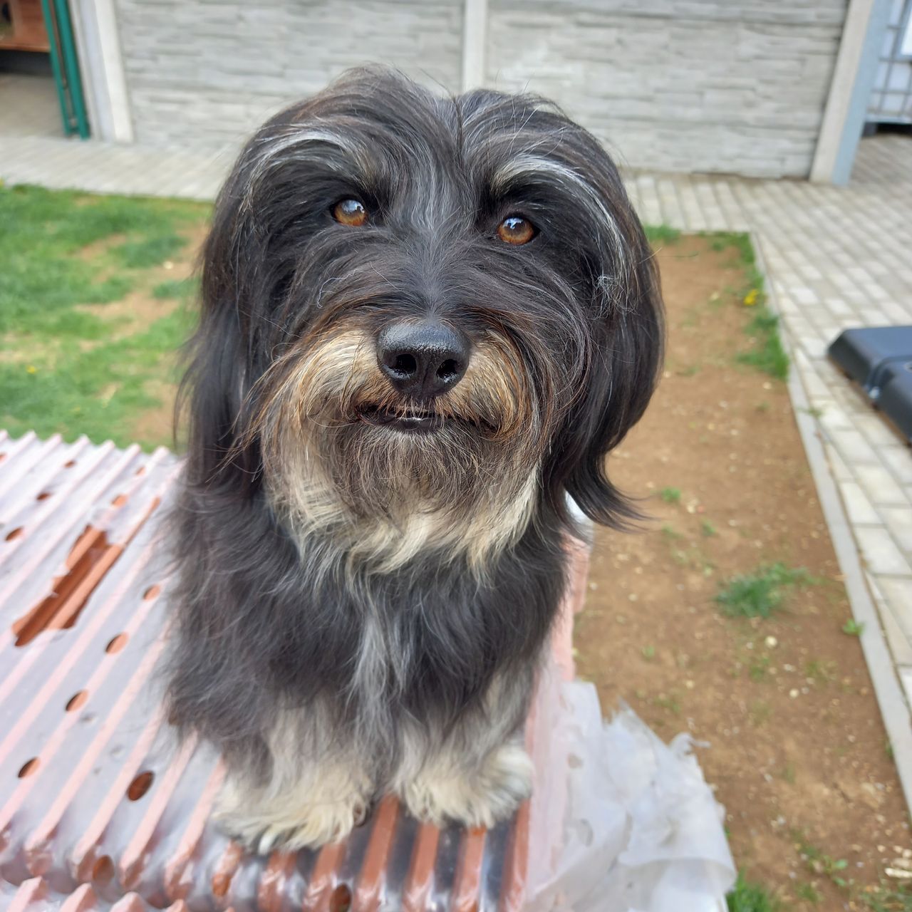 Soutěžní fotografie - Betty,  Ostatní