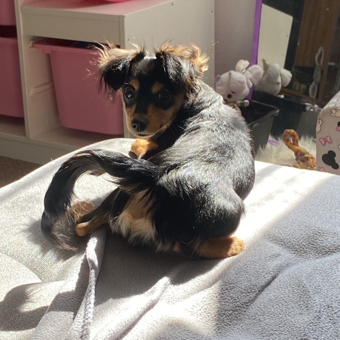 Soutěžní fotografie - Endy,  Ostatní