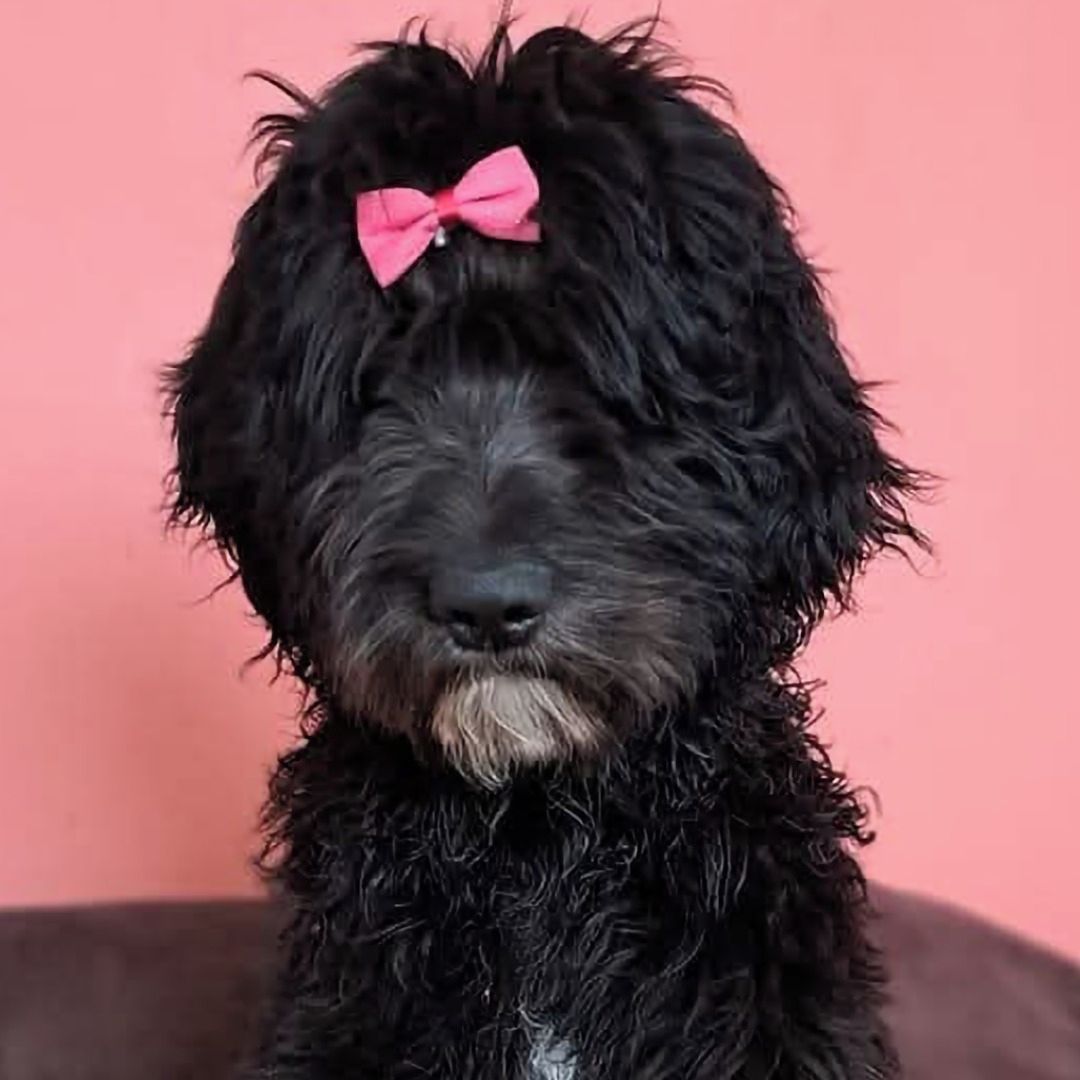 Soutěžní fotografie - Sára,  Ostatní