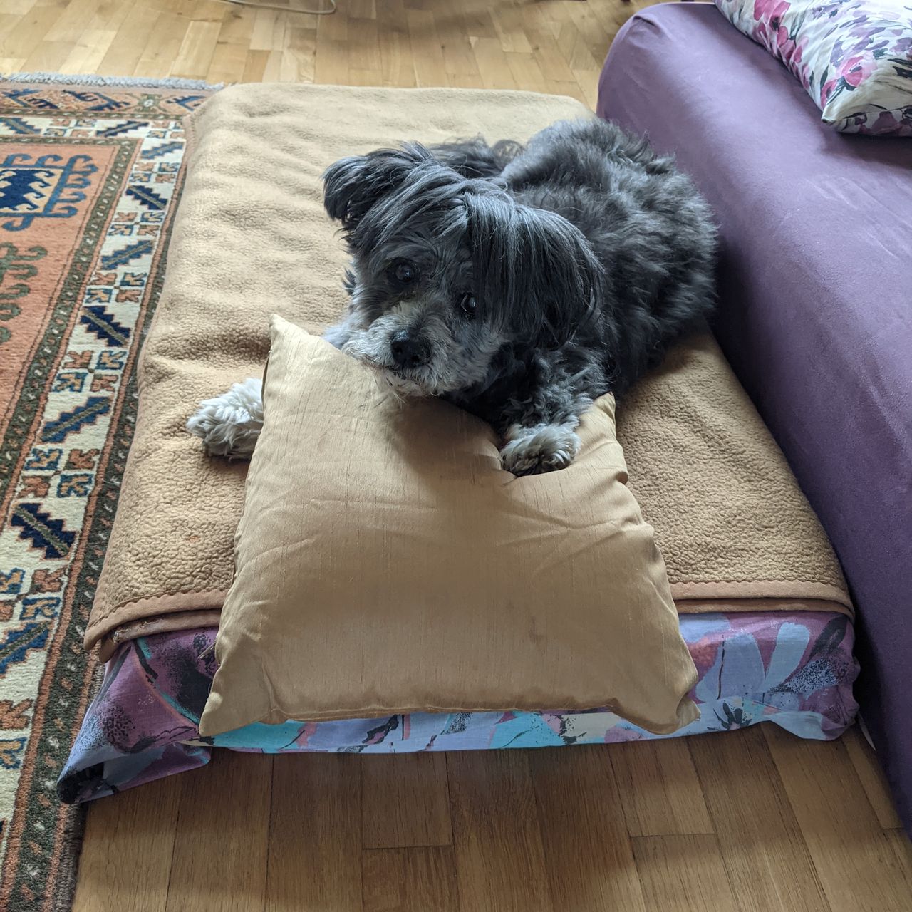 Soutěžní fotografie - Barbucha,  Ostatní