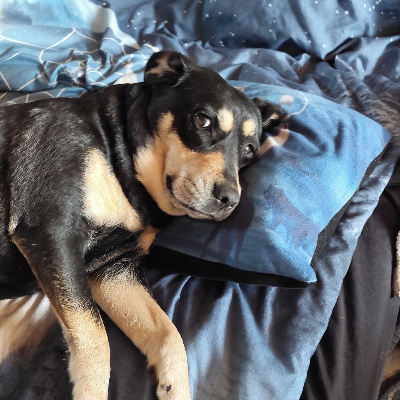 Soutěžní fotografie - Blaženka,  Ostatní