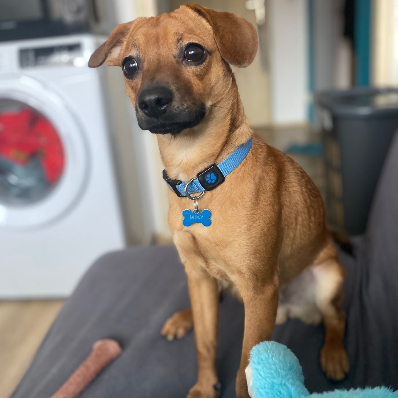 Soutěžní fotografie - Michelangelo de Dogo,  Ostatní