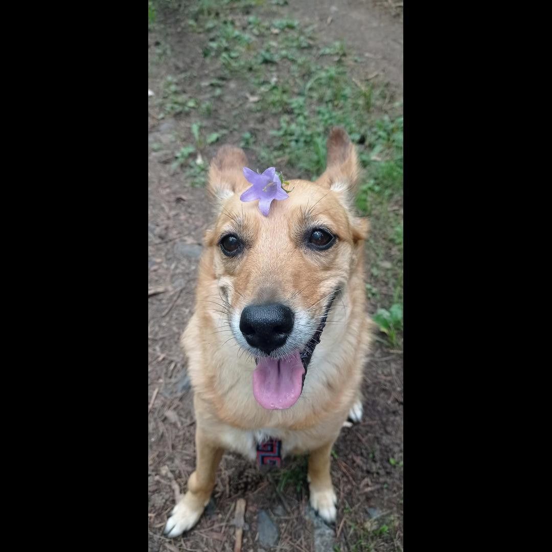 Soutěžní fotografie - Kejtý,  Ostatní