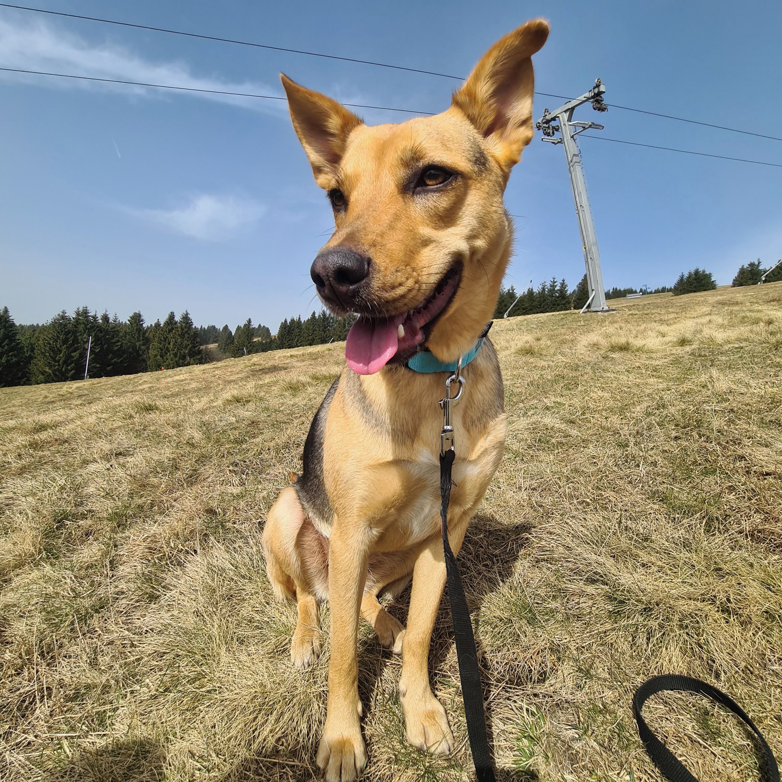 Soutěžní fotografie - Verunka,  Ostatní