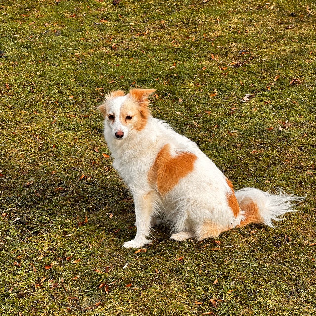 Soutěžní fotografie - MIA,  Ostatní