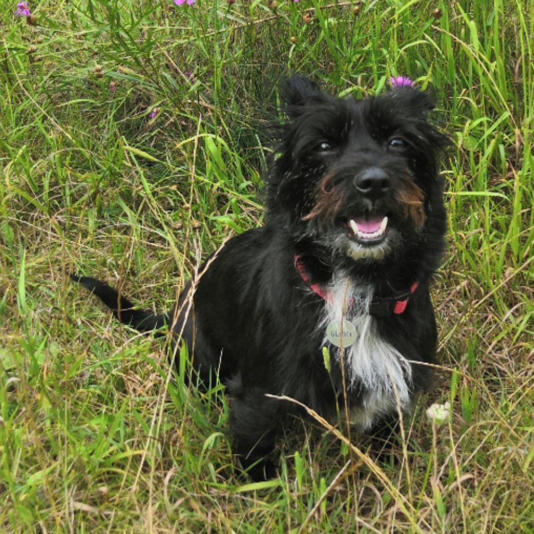 Soutěžní fotografie - Gerry,  Ostatní