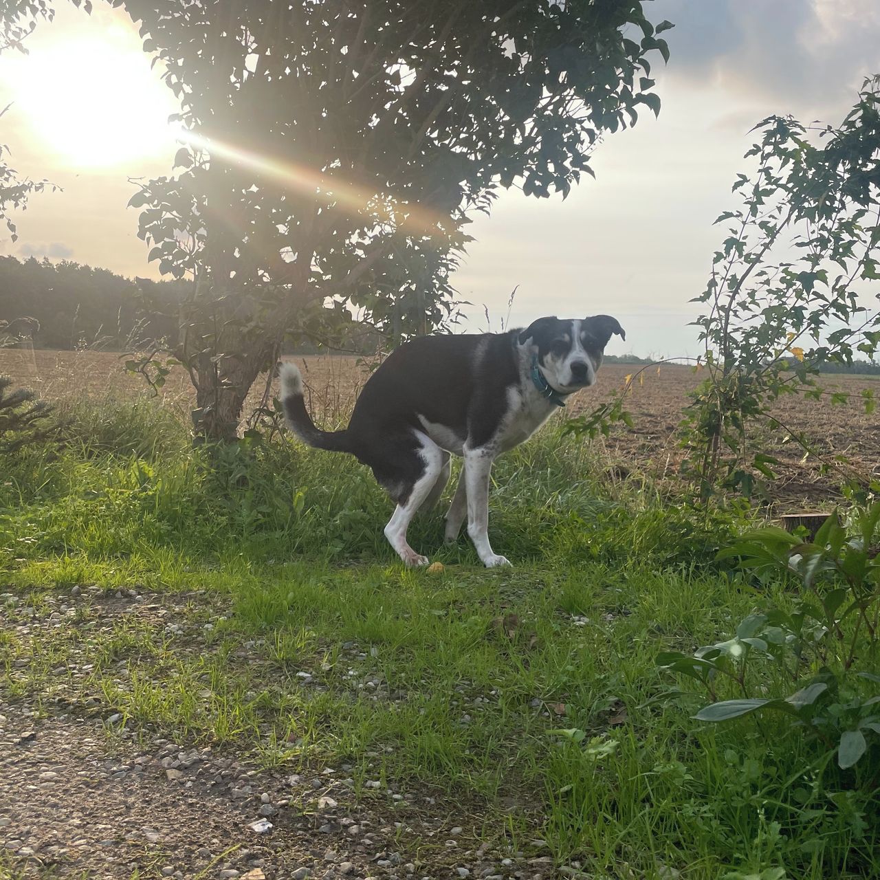 Soutěžní fotografie - Bárty,  Ostatní