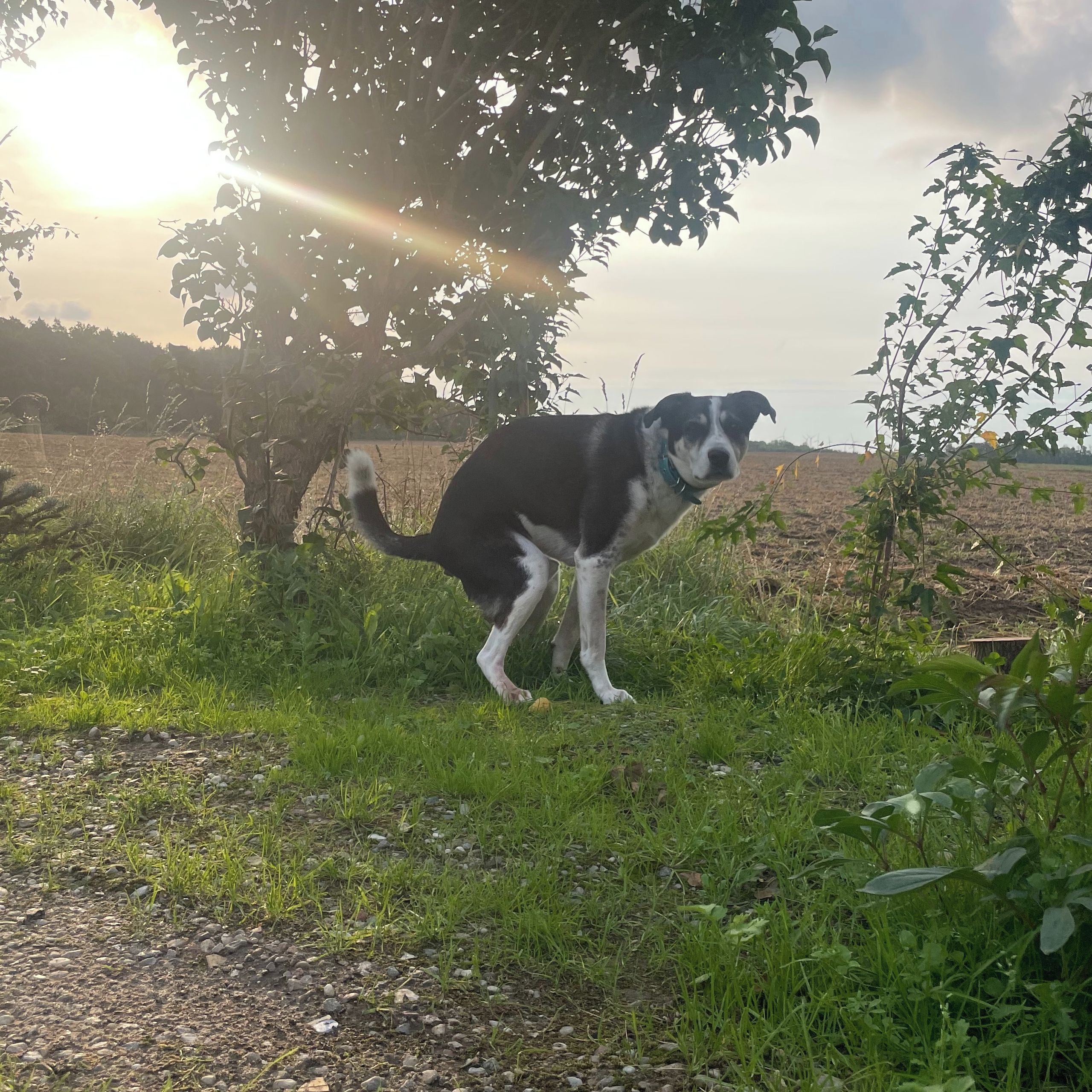 Soutěžní fotografie - Bárty,  Ostatní