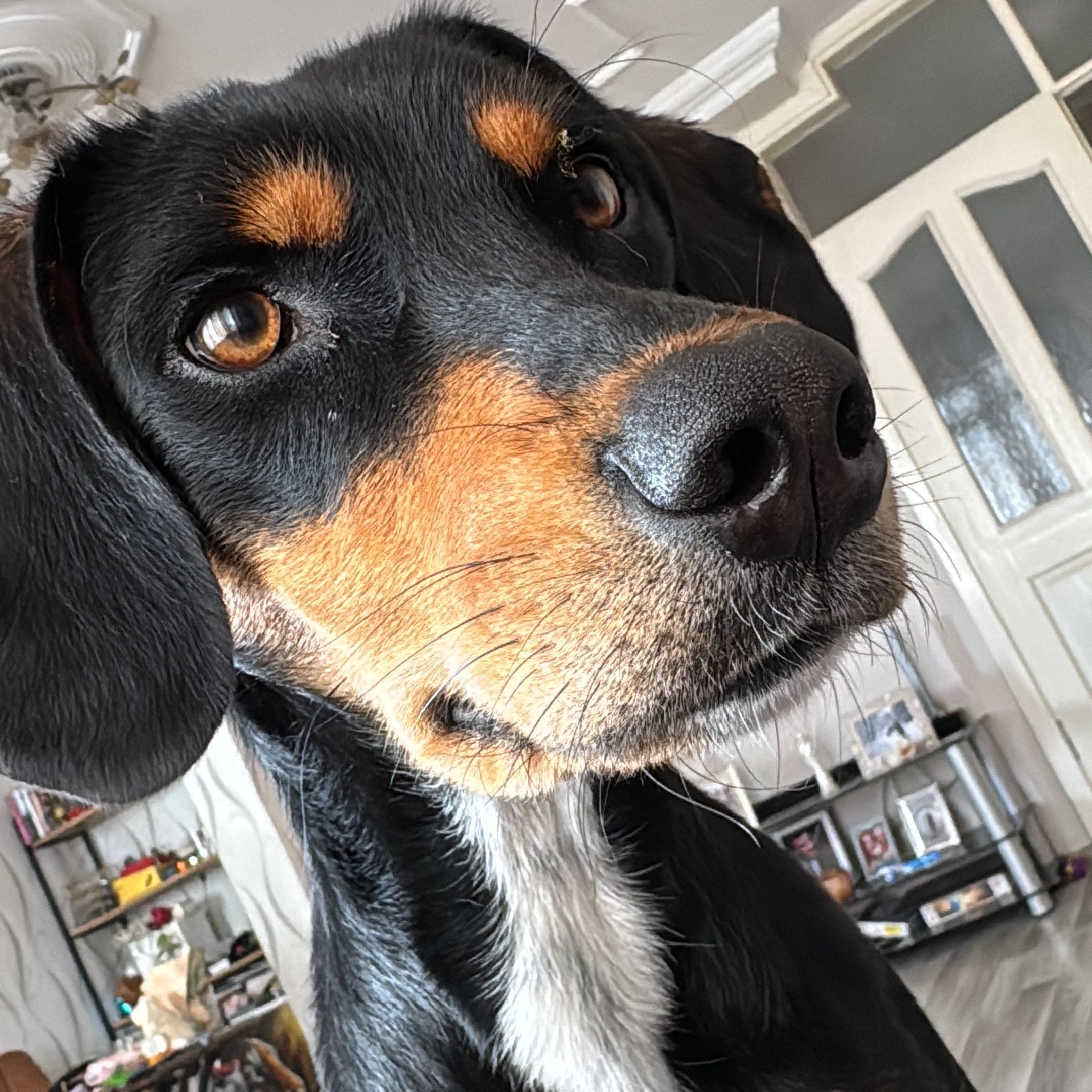 Soutěžní fotografie - Lia,  Ostatní