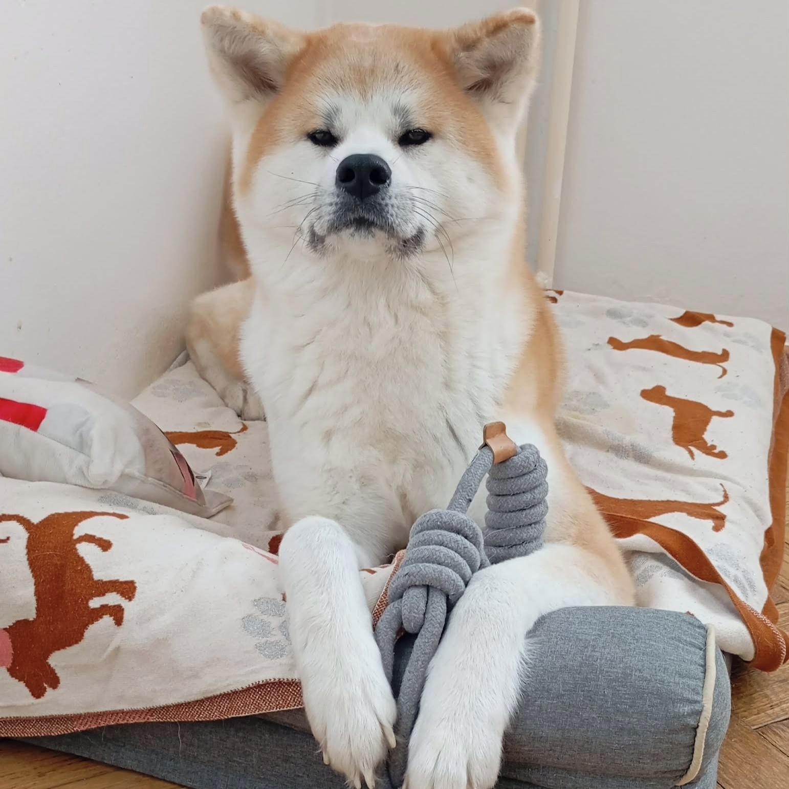 Soutěžní fotografie - Satake,  Akita