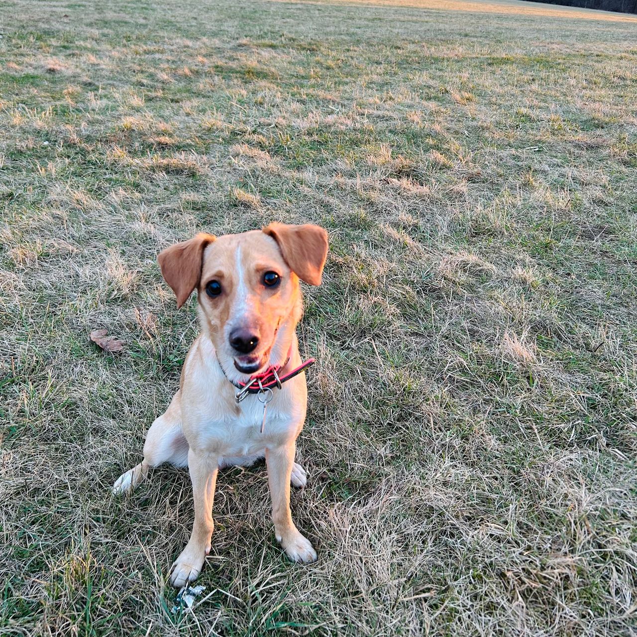 Soutěžní fotografie - Frida,  Ostatní