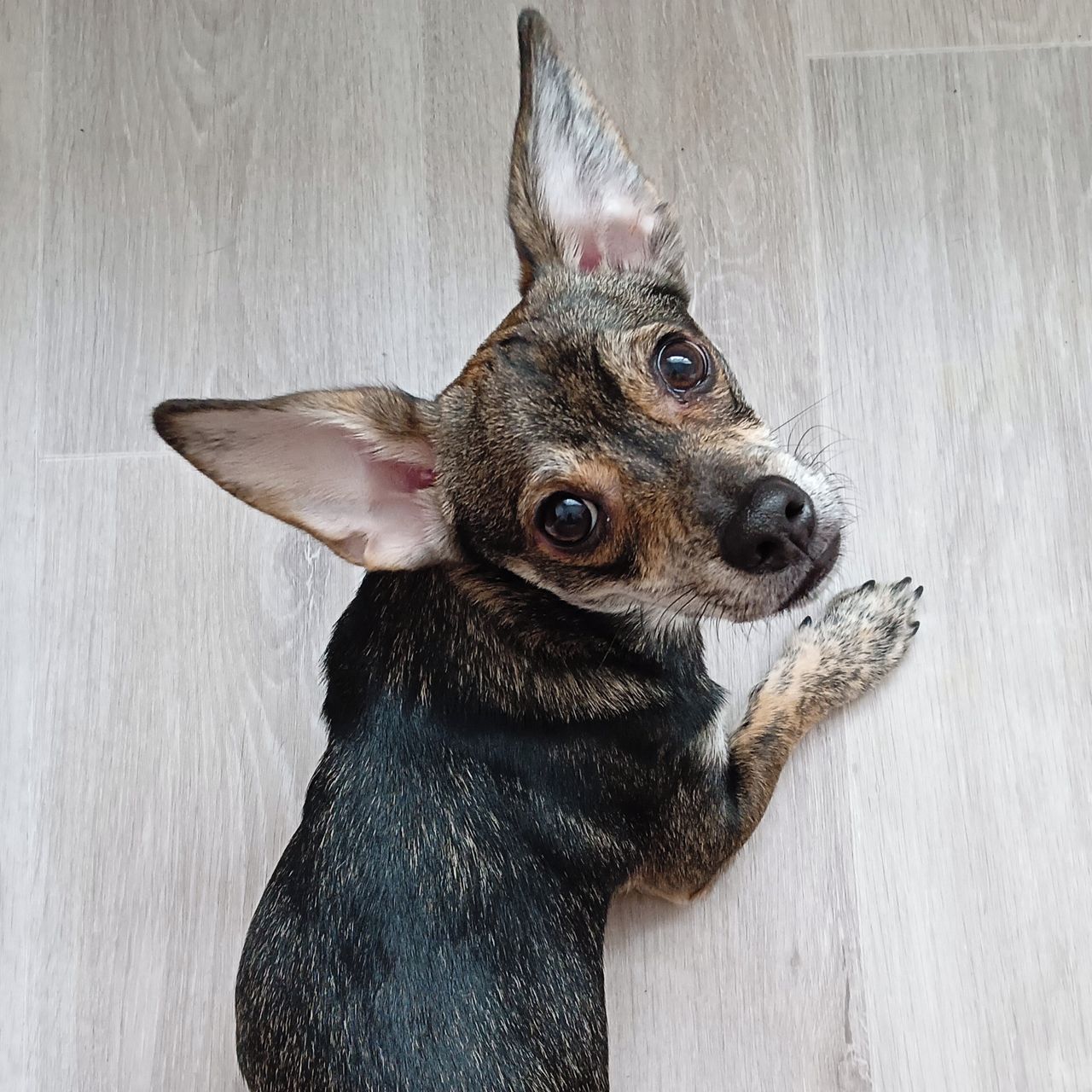 Soutěžní fotografie - Juky,  Ostatní