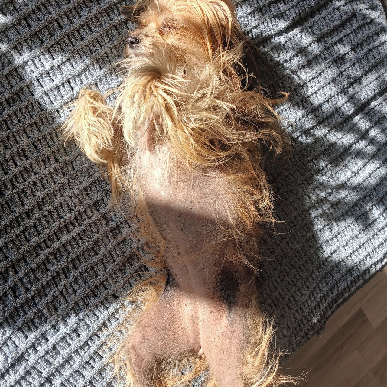 Soutěžní fotografie - Keysi,  Ostatní