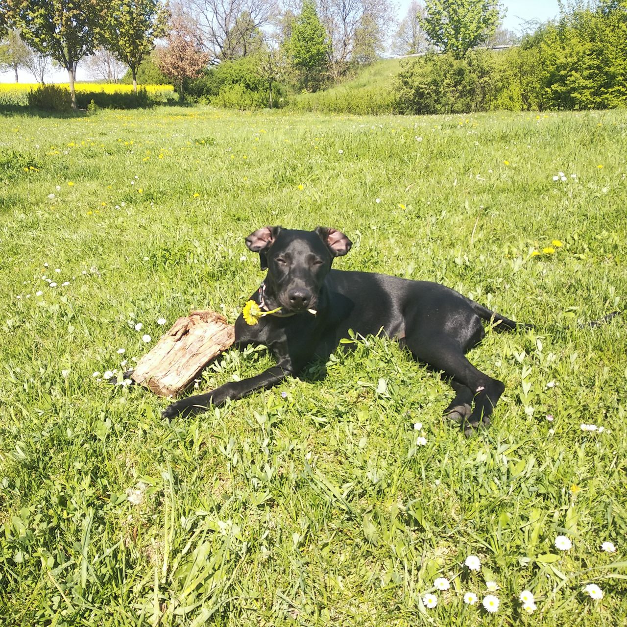 Soutěžní fotografie - Elí,  Ostatní