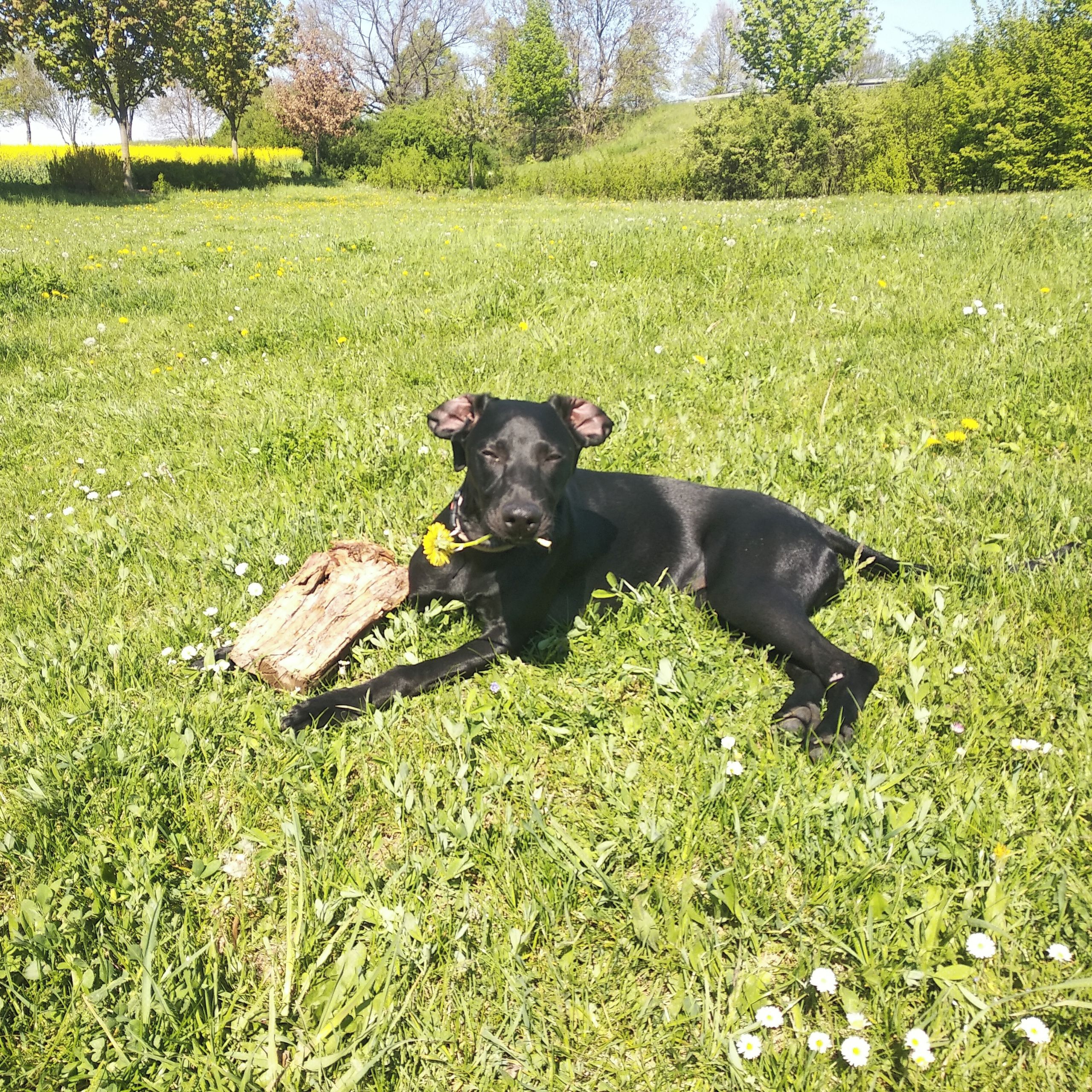 Soutěžní fotografie - Elí,  Ostatní