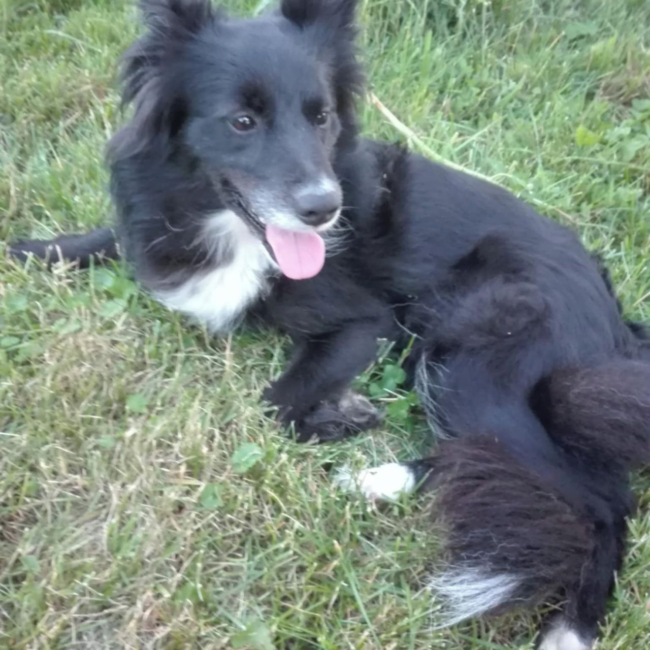 Soutěžní fotografie - Polly,  Ostatní