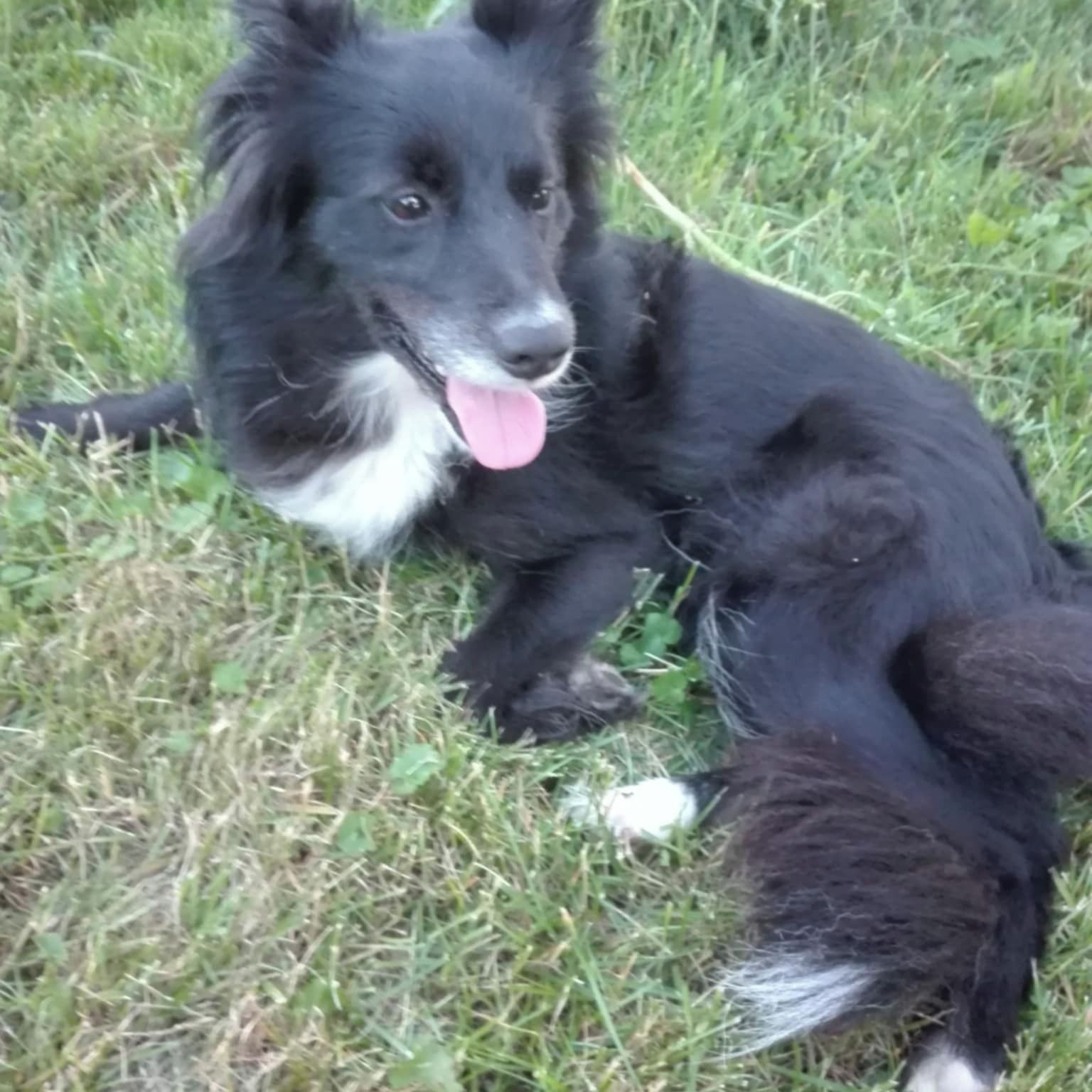 Soutěžní fotografie - Polly,  Ostatní