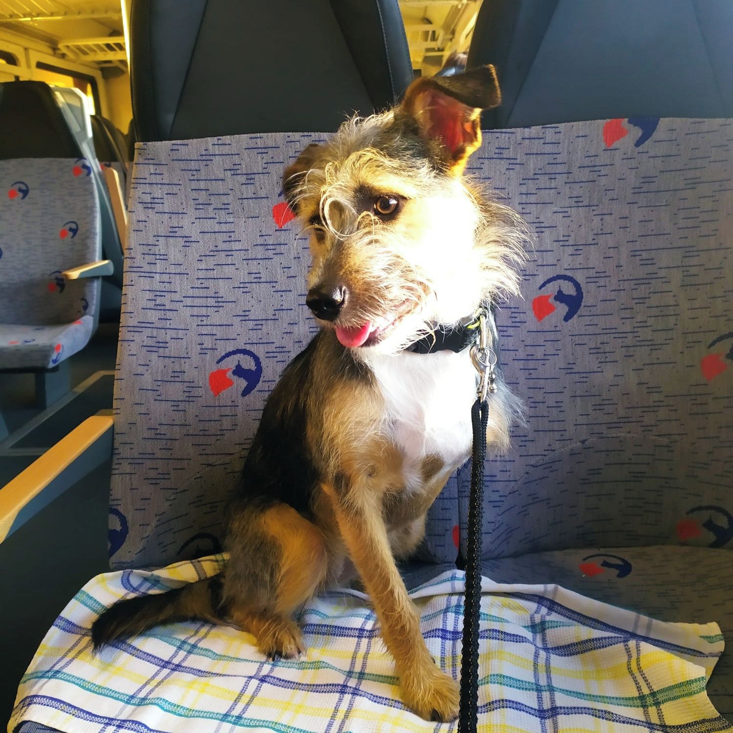 Soutěžní fotografie - Kokoska,  Ostatní