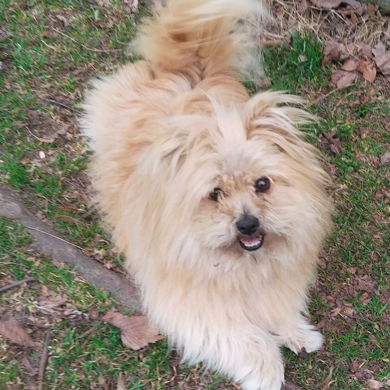 Soutěžní fotografie - Fuli,  Ostatní