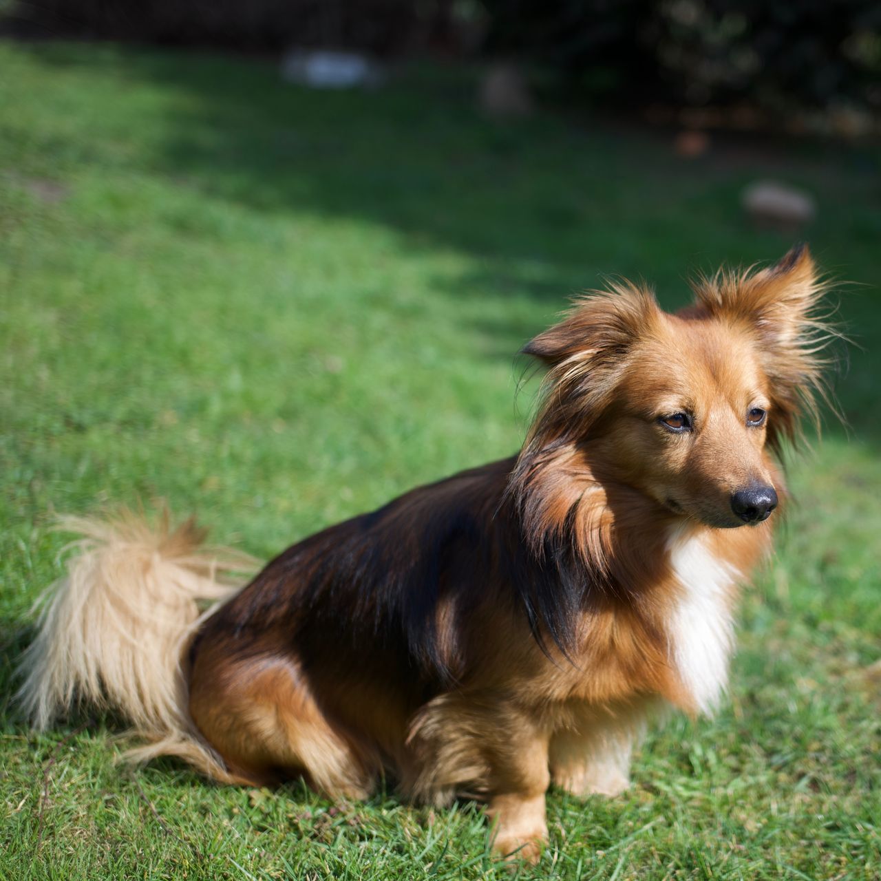 Soutěžní fotografie - Fredy,  Ostatní