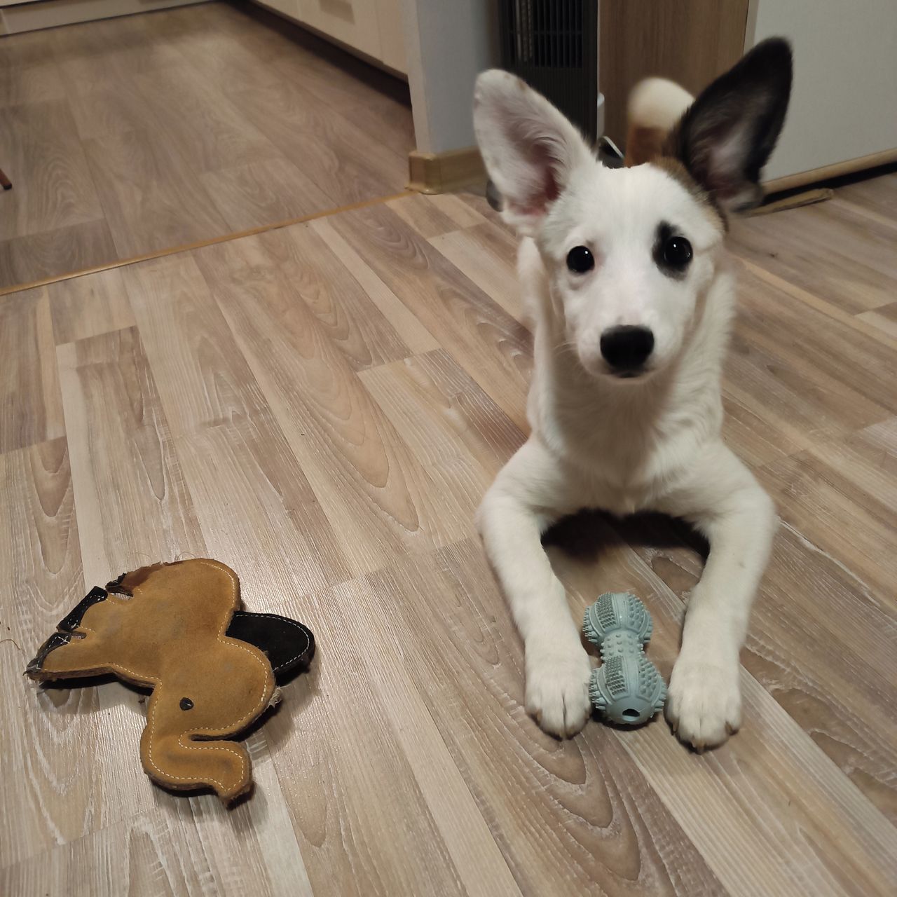 Soutěžní fotografie - Linda,  Ostatní