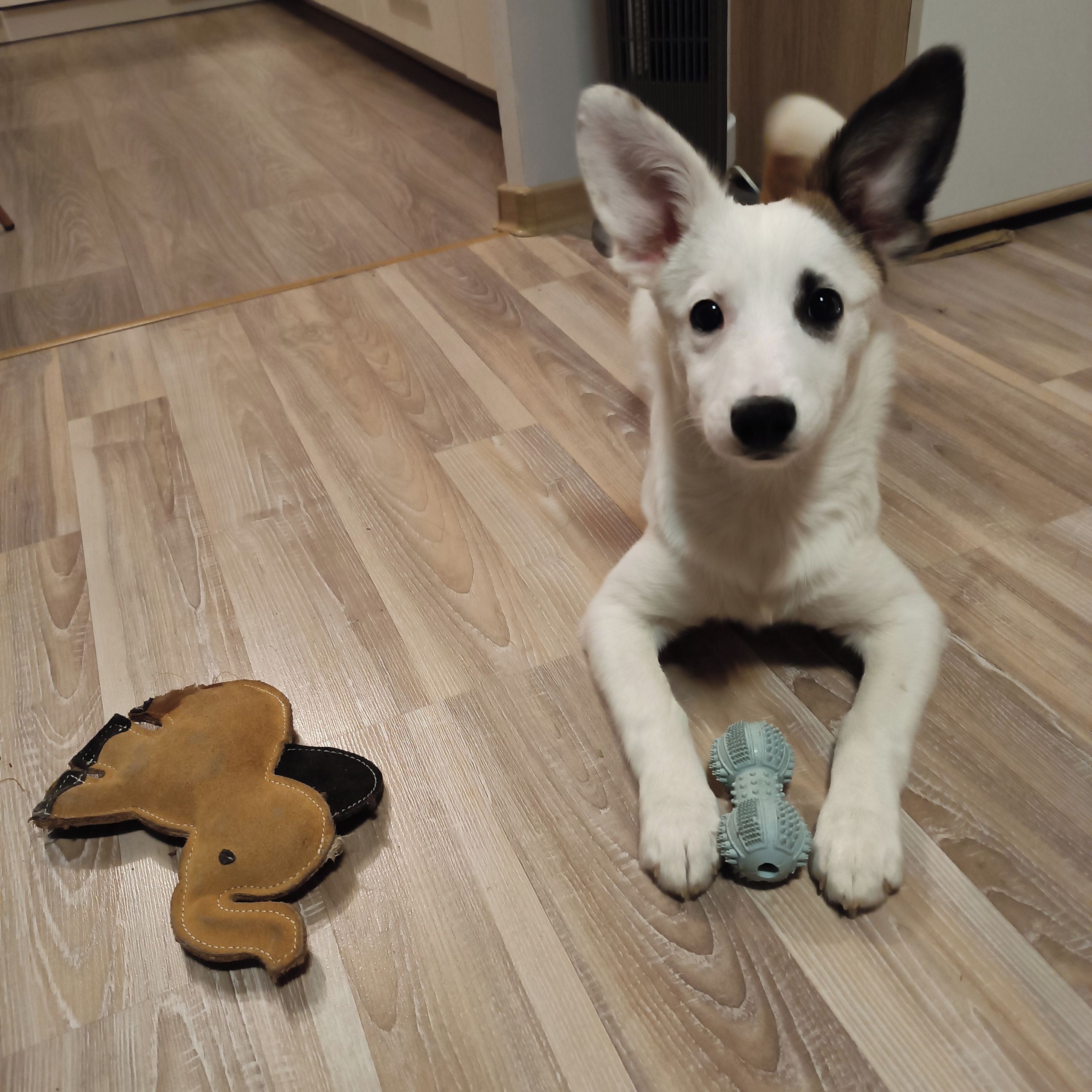 Soutěžní fotografie - Linda,  Ostatní