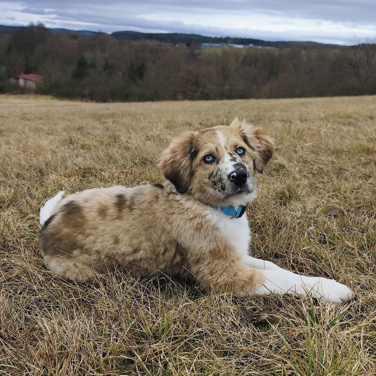 Soutěžní fotografie - Kilpi,  Ostatní