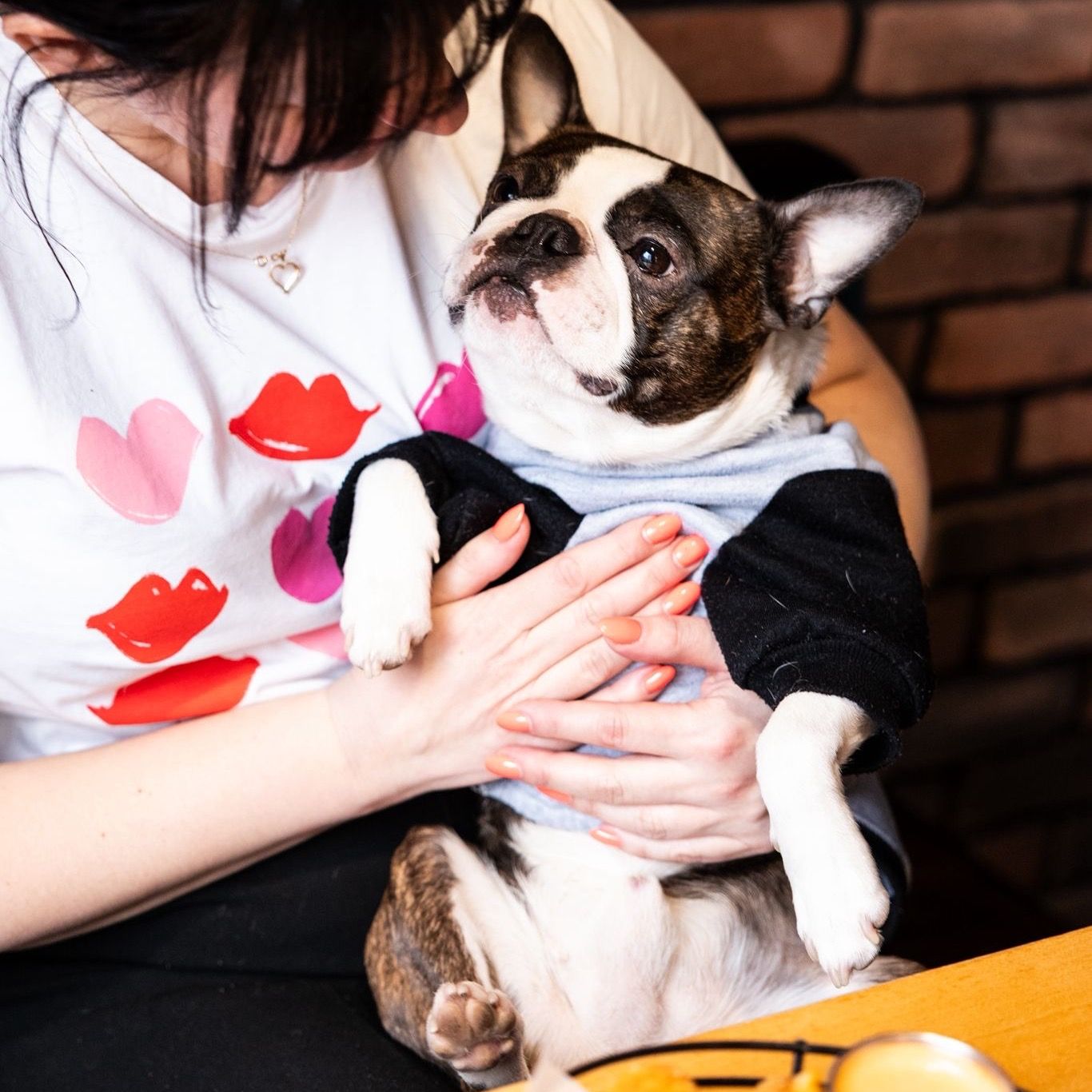 Soutěžní fotografie - Gucci,  Bostonský terier