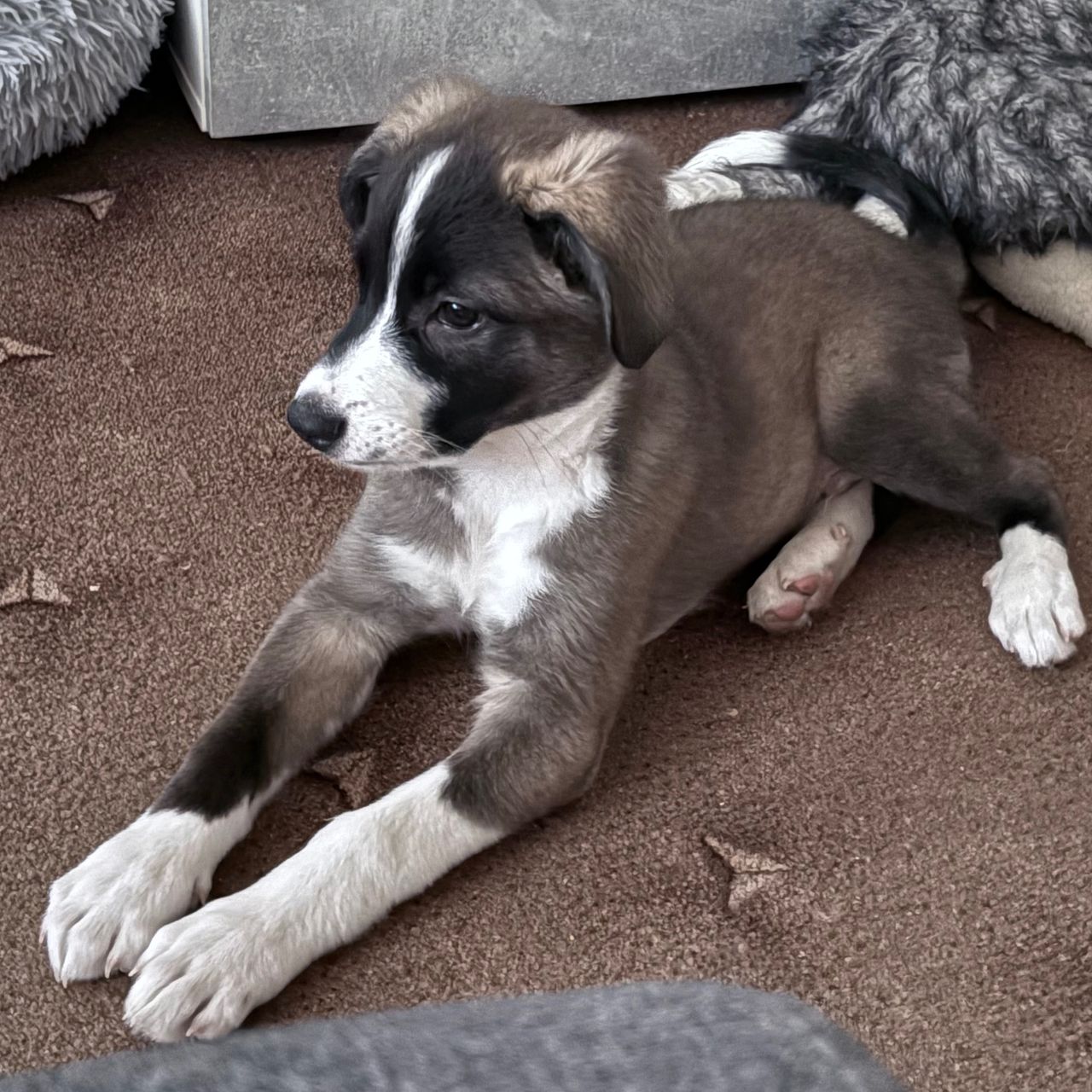 Soutěžní fotografie - Borny,  Ostatní