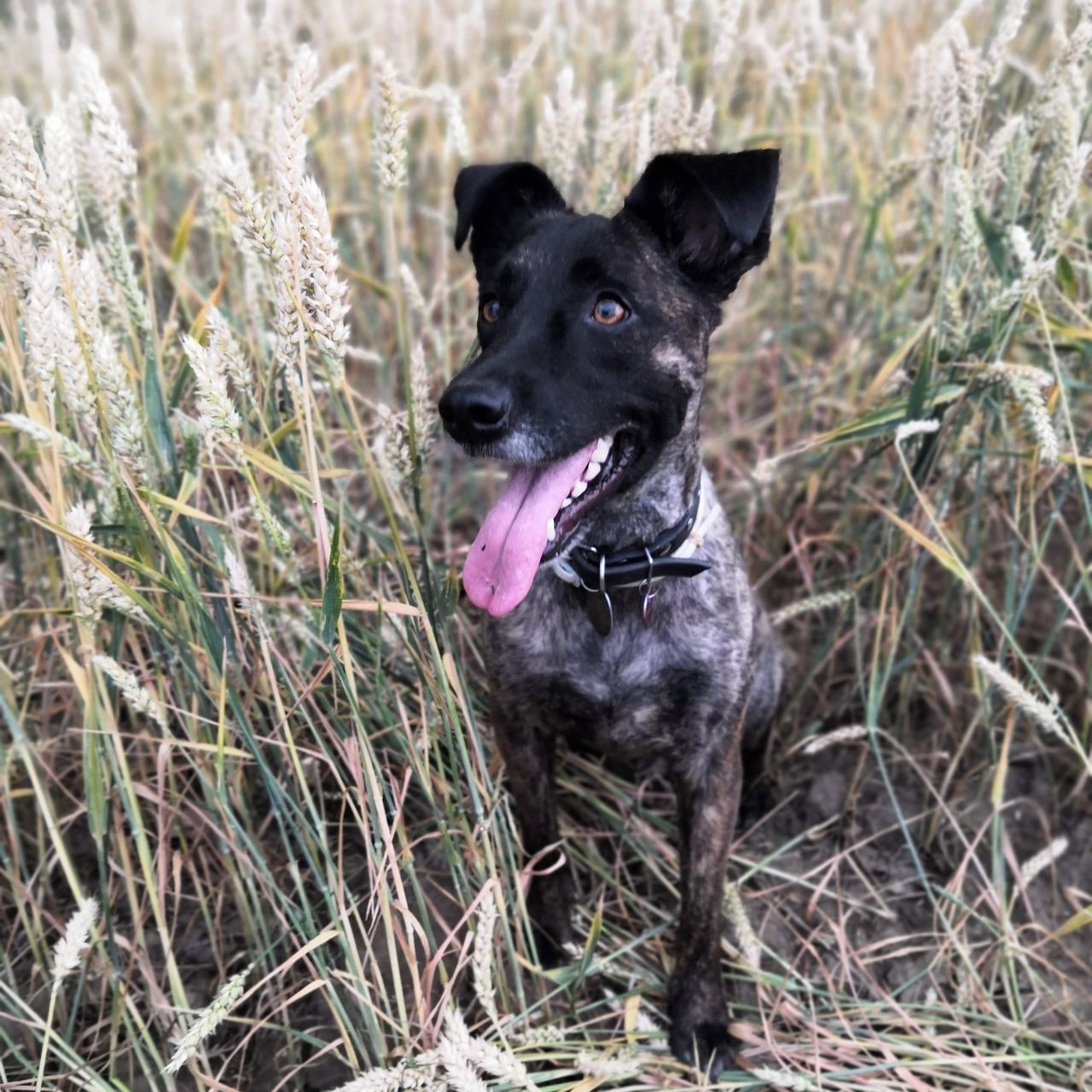 Soutěžní fotografie - MELKA,  Ostatní