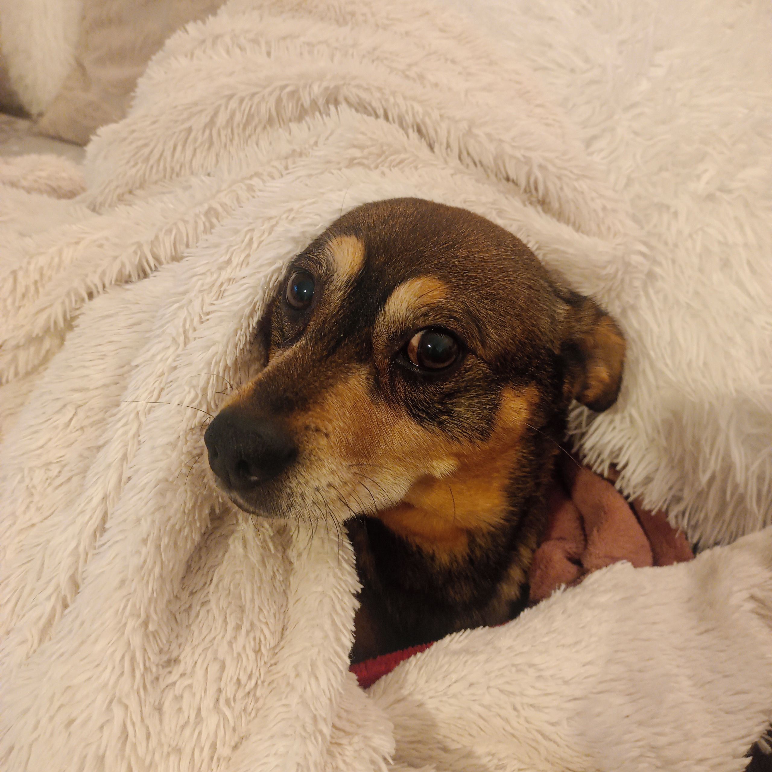 Soutěžní fotografie - Šimón,  Ostatní