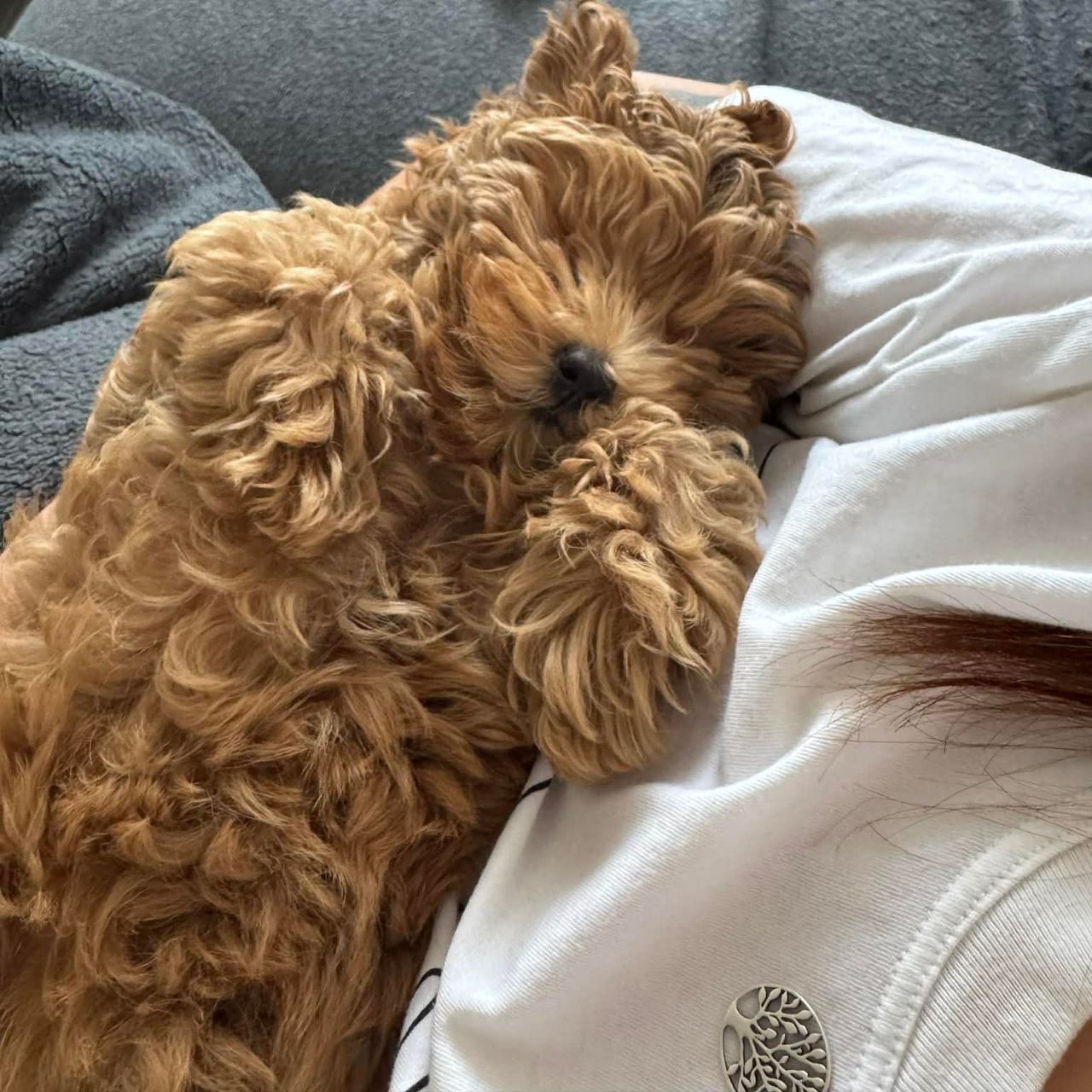 Soutěžní fotografie - Bonnie,  Ostatní